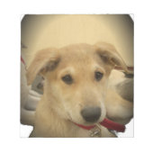 Puppy Love: Man's beste vriend Notitieblok (Voorkant)