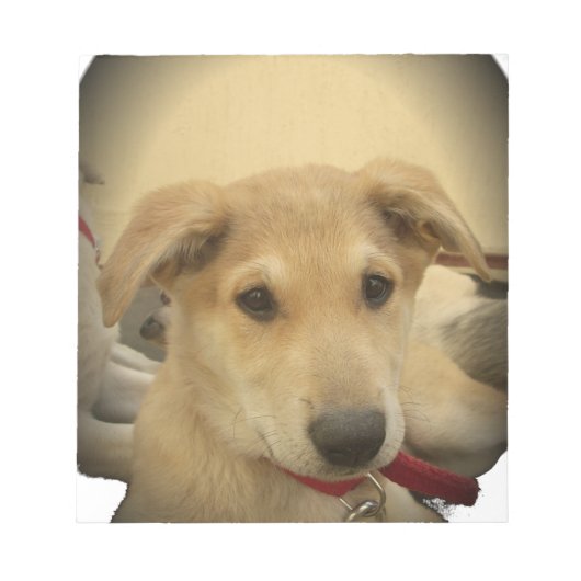 Puppy Love: Man's beste vriend Notitieblok (Voorkant)