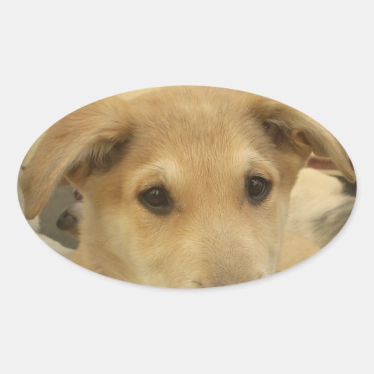 Puppy Love: Man's beste vriend Ovale Sticker (Voorkant)