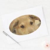 Puppy Love: Man's beste vriend Ovale Sticker (Envelop)