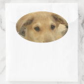 Puppy Love: Man's beste vriend Ovale Sticker (Tas)