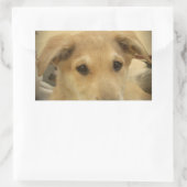 Puppy Love: Man's beste vriend Rechthoekige Sticker (Tas)