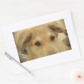 Puppy Love: Man's beste vriend Rechthoekige Sticker (Envelop)