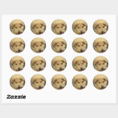Puppy Love: Man's beste vriend Ronde Sticker (Vel)