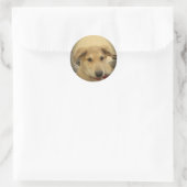Puppy Love: Man's beste vriend Ronde Sticker (Tas)