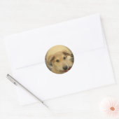 Puppy Love: Man's beste vriend Ronde Sticker (Envelop)