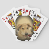 Puppy Love: Man's beste vriend Speelkaarten (Achterkant)