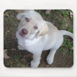Puppy Love Muismat