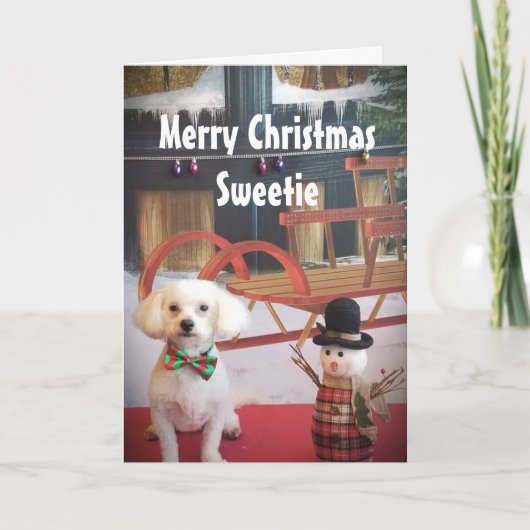PUPPY LOVE NAUGHTY OF NICE IN CHRISTMAS FEESTDAGEN KAART (Voorkant)