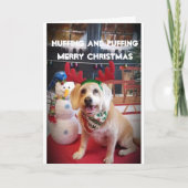 PUPPY LOVE NAUGHTY OF NICE IN CHRISTMAS FEESTDAGEN KAART (Voorkant)