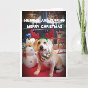 PUPPY LOVE NAUGHTY OF NICE IN CHRISTMAS FEESTDAGEN KAART