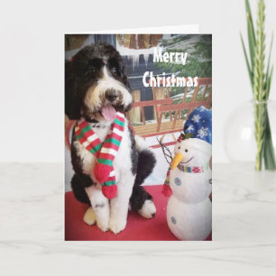 PUPPY LOVE NAUGHTY OF NICE IN CHRISTMAS FEESTDAGEN KAART