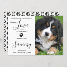 Puppy Love New Pet Dog Announance