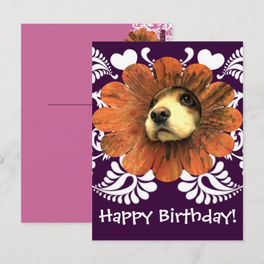 Puppy Love Peking Out of a Flower Briefkaart (Voorkant / Achterkant)