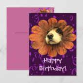 Puppy Love Peking Out of a Flower Briefkaart (Voorkant / Achterkant)