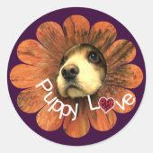Puppy Love Peking Out of a Flower Ronde Sticker (Voorkant)