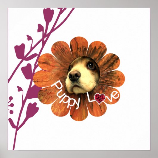 Puppy Love Poster (Voorkant)