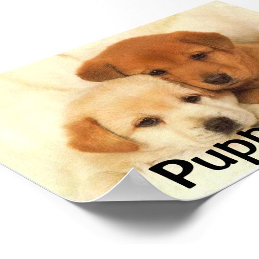 Puppy Love Poster (Hoek)