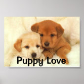 Puppy Love Poster (Voorkant)