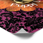 Puppy Love Poster (Hoek)