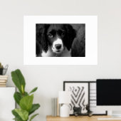 Puppy Love Poster (Thuiskantoor)