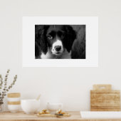 Puppy Love Poster (Keuken)