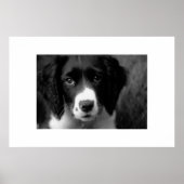 Puppy Love Poster (Voorkant)