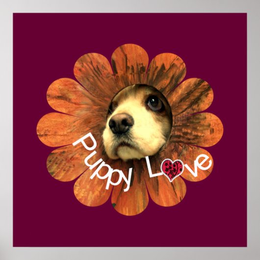 Puppy Love Poster (Voorkant)
