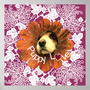 Puppy Love Poster