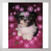 Puppy Love-Poster Poster (Voorkant)