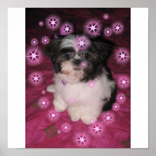 Puppy Love-Poster Poster (Voorkant)