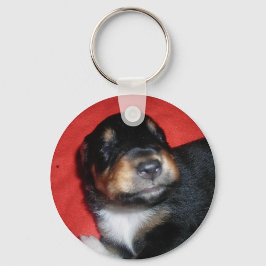 PUPPY LOVE SLEUTELHANGER (Voorkant)