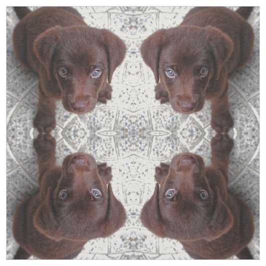 Puppy Love Stof (Swatch)