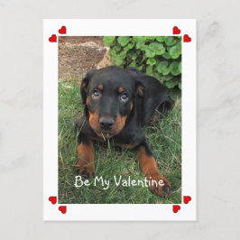 Puppy Love Valentijnsdag Briefkaart