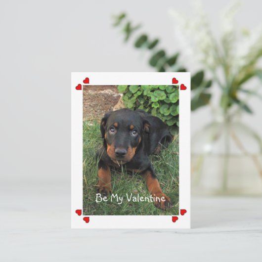 Puppy Love Valentijnsdag Briefkaart (Staand voorkant)