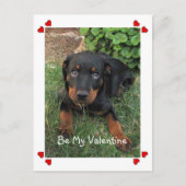 Puppy Love Valentijnsdag Briefkaart (Voorkant)