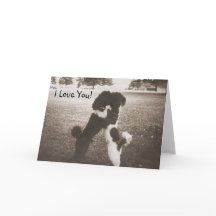 Puppy Love Wenskaart