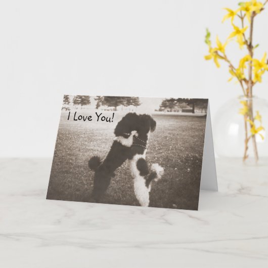 Puppy Love Wenskaart Kaart (Gele Bloem)