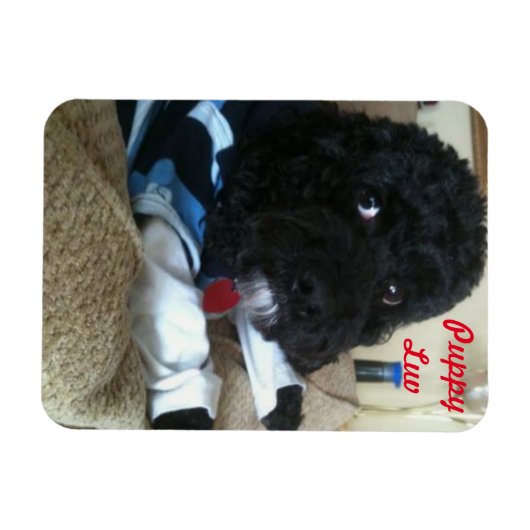 Puppy Luv Magneet (Horizontaal)