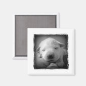 Puppy magneet (Voorkant / Achterkant)