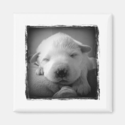 Puppy magneet (Voorkant)