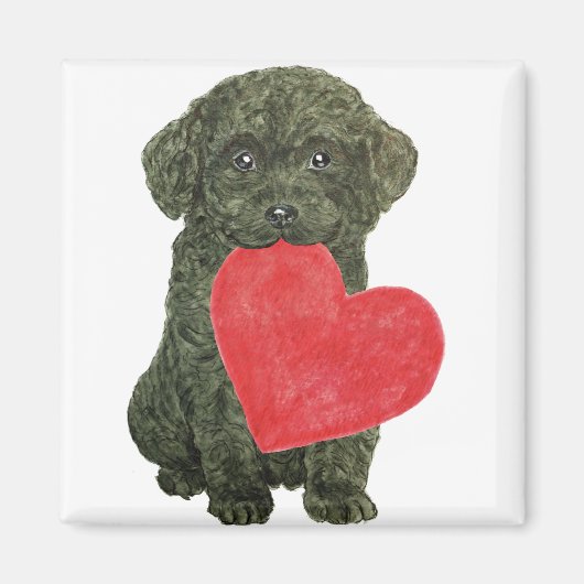 Puppy Magnet (Voorkant)