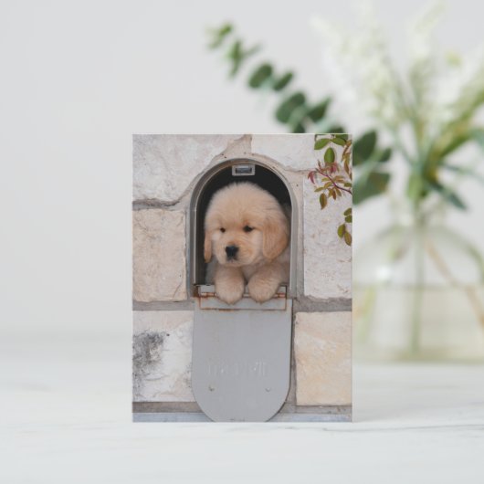 Puppy Mail Briefkaart (Staand voorkant)