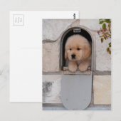 Puppy Mail Briefkaart (Voorkant / Achterkant)