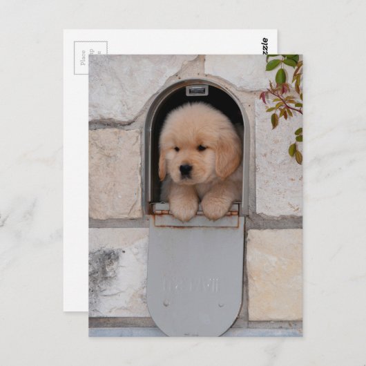 Puppy Mail Briefkaart (Voorkant / Achterkant)