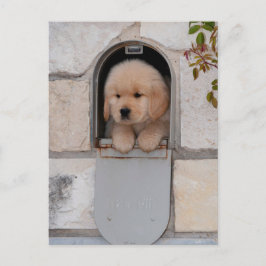 Puppy Mail Briefkaart