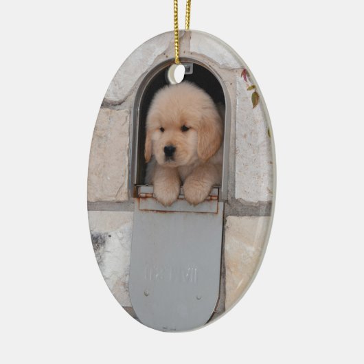 Puppy Mail Keramisch Ornament (Links)