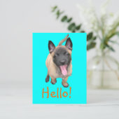 puppy malinois briefkaart (Staand voorkant)