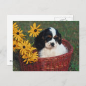 Puppy mandje briefkaart (Voorkant / Achterkant)