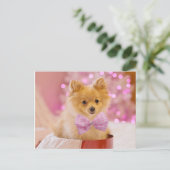 Puppy met Bow Briefkaart (Staand voorkant)